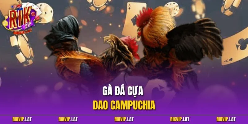 Gà Đá Cựa Dao Campuchia – Hình Thức Giải Trí Kịch Tính 2025